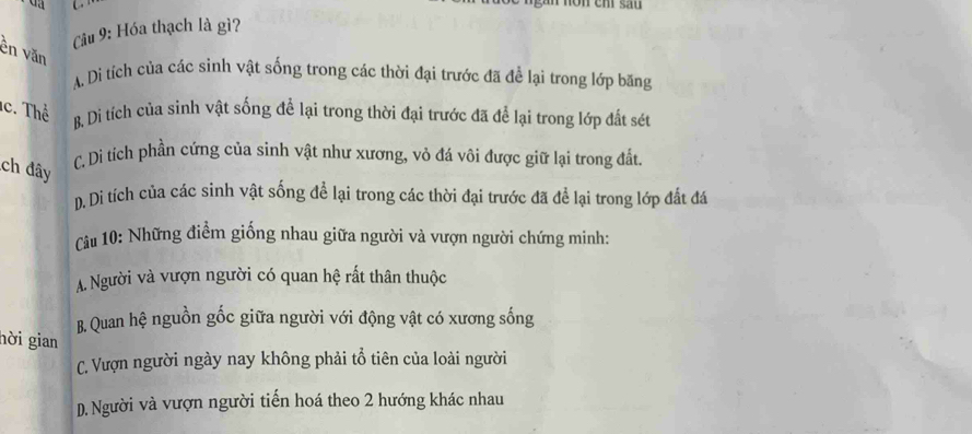 non chr sau
Câu 9: Hóa thạch là gì?
ền văn
A. Di tích của các sinh vật sống trong các thời đại trước đã để lại trong lớp băng
c. Thể B. Di tích của sinh vật sống để lại trong thời đại trước đã để lại trong lớp đất sét
ch đây
C. Di tích phần cứng của sinh vật như xương, vỏ đá vôi được giữ lại trong đất
D. Dì tích của các sinh vật sống để lại trong các thời đại trước đã để lại trong lớp đất đá
Câu 10: Những điểm giống nhau giữa người và vượn người chứng minh:
A. Người và vượn người có quan hệ rất thân thuộc
B. Quan hệ nguồn gốc giữa người với động vật có xương sống
hời gian
C. Vượn người ngày nay không phải tổ tiên của loài người
D. Người và vượn người tiến hoá theo 2 hướng khác nhau