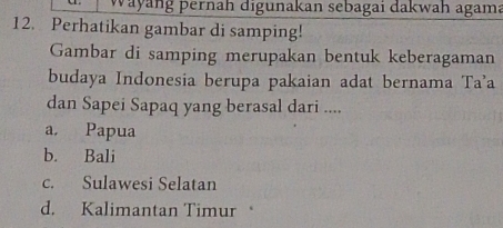 Wayang pernah digunakan sebagai dakwah agama
12. Perhatikan gambar di samping!
Gambar di samping merupakan bentuk keberagaman
budaya Indonesia berupa pakaian adat bernama Ta'a
dan Sapei Sapaq yang berasal dari ....
a. Papua
b. Bali
c. Sulawesi Selatan
d. Kalimantan Timur