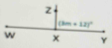 z
(3m+12)^circ 
w
x
Y