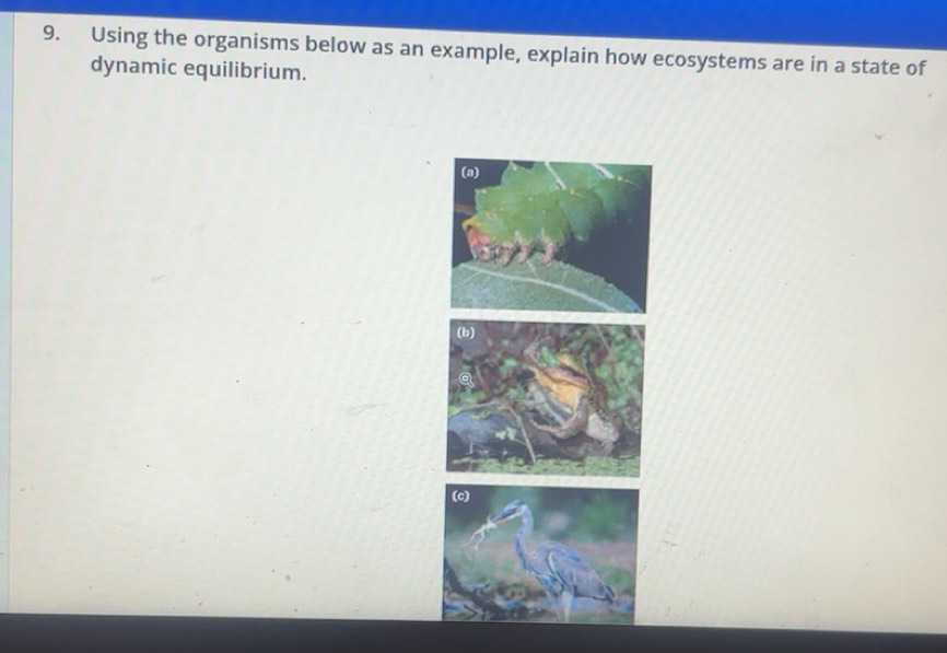 Solved: Using the organisms below as an example, explain how ecosystems ...