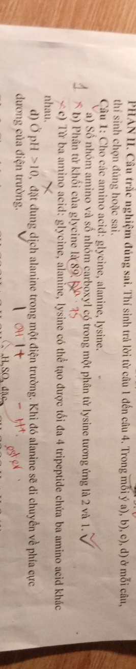 PHAN II. Câu trắc nghiệm đúng sai. Thí sinh trả lời từ câu 1 đến câu 4. Trong mối ý a), b), c), d) ở mỗi câu, 
thí sinh chọn đúng hoặc sai. 
Câu 1: Cho các amino acid: glycine, alanine, lysine, 
a) Số nhóm amino và số nhóm carboxyl có trong một phân tử lysine tương ứng là 2 và 1. 
b) Phân tử khối của glycine li(89. 
c) Từ ba amino acid: glycine, alanine, lysine có thể tạo được tối đa 4 tripeptide chứa ba amino acid khác 
nhau. 
d) O pH 10 2, đặt dung dịch alanine trong một điện trường. Khi đó alanine sẽ di chuyển về phía cực 
dương của điện trường.