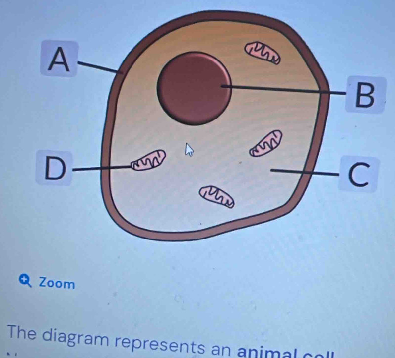 Zoom 
The diagram represents an animal coll