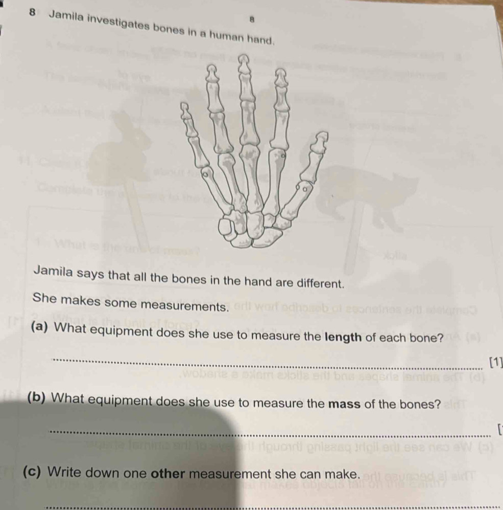 8 
8 Jamila investigates bones in a human hand. 
Jamila says that all the bones in the hand are different. 
She makes some measurements. 
(a) What equipment does she use to measure the length of each bone? 
_ 
[1] 
(b) What equipment does she use to measure the mass of the bones? 
_ 
(c) Write down one other measurement she can make.