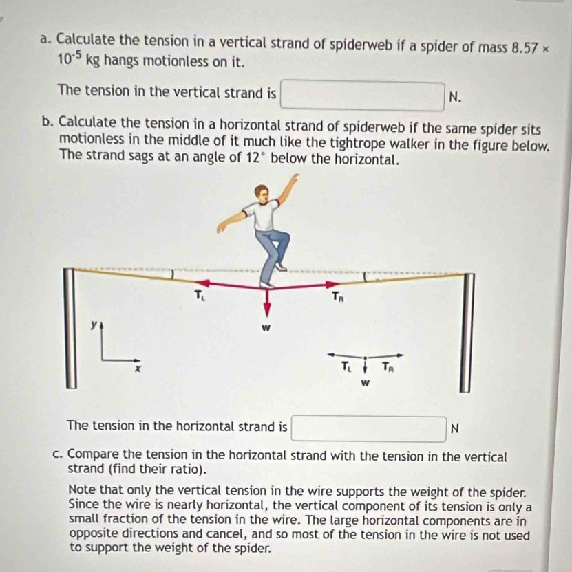 Solved: Calculate the tension in a vertical strand of spiderweb if a ...