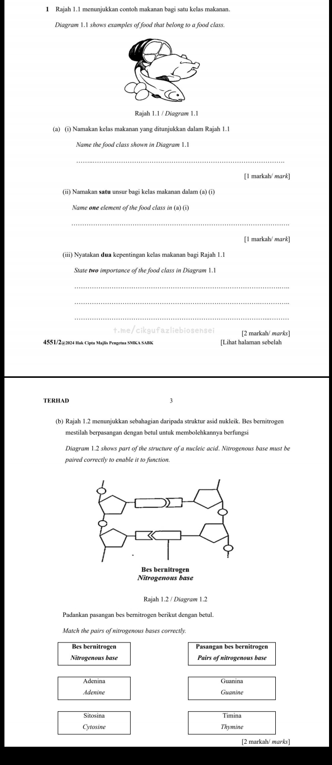 Rajah 1.1 menunjukkan contoh makanan bagi satu kelas makanan.
Diagram 1.1 shows examples of food that belong to a food class.
Rajah 1.1 / Diagram 1.1
Name the food class shown in Diagram 1.1
_
[1 markah/ mark]
(ii) Namakan satu unsur bagi kelas makanan dalam (a) (i)
Name one element of the food class in (a) (i)
_
[1 markah/ mark]
(iii) Nyatakan dua kepentingan kelas makanan bagi Rajah 1.1
State two importance of the food class in Diagram 1.1
_
_
_
t.me/cikgufazliebiosensei [2 markah/ marks]
4551/2@2024 Hak Cīpta Majlis Pengetua SMKA SABK [Lihat halaman sebelah
TERHAD 3
(b) Rajah 1.2 menunjukkan sebahagian daripada struktur asid nukleik. Bes bernitrogen
mestilah berpasangan dengan betul untuk membolehkannya berfungsi
Diagram 1.2 shows part of the structure of a nucleic acid. Nitrogenous base must be
paired correctly to enable it to function.
Rajah 1.2 / Diagram 1.2
Padankan pasangan bes bernitrogen berikut dengan betul.
Match the pairs of nitrogenous bases correctly
Nitrogenous base Pairs of nitrogenous base
Adenina Guanina
Adenine Guanine
Sitosina Timina
Cytosine Thymine
[2 markah/ marks]