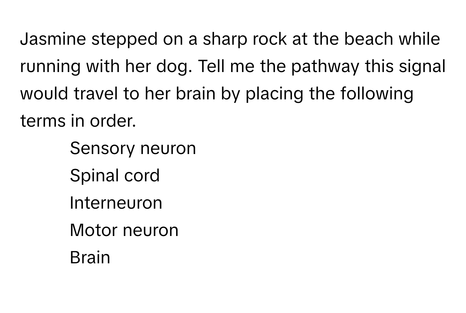 Jasmine stepped on a sharp rock at the beach while running with her dog. Tell me the pathway this signal would travel to her brain by placing the following terms in order.

1) Sensory neuron 
2) Spinal cord 
3) Interneuron 
4) Motor neuron 
5) Brain