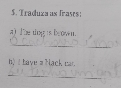 Traduza as frases: 
a) The dog is brown. 
_ 
b) I have a black cat. 
_