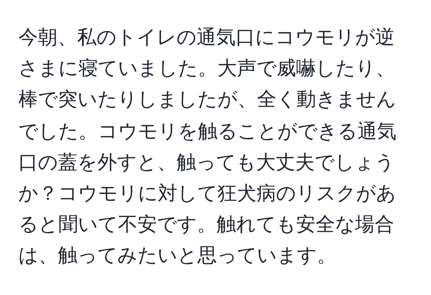 今朝、私のトイレの通気口にコウモリが逆さまに寝ていました。大声で威嚇したり、棒で突いたりしましたが、全く動きませんでした。コウモリを触ることができる通気口の蓋を外すと、触っても大丈夫でしょうか？コウモリに対して狂犬病のリスクがあると聞いて不安です。触れても安全な場合は、触ってみたいと思っています。