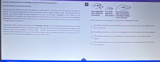 Use the passage and prior knowledge to answer the follewing questions.
10
Charles Darwin and Natural Selection
Charles Darwin, a British naturalist who lived in the 19th century, is best known for his book On the Orgin of 
Species. Is it, Darwin established the idea of evolution that is widely accepted today. He proposed that all
species alive have evolved through adaptation to their surroundings. Evallution is the change in the 
characteristics of a species over several generations and relies on the process of natural selection.Natural
from generation to generation selection, the process by which varied traits that increase survival and enable reproduction are passed down Which statement is probably true about the Galapagos finches?
A great deal of his research occurred on the Gallapagos Islands. On the Galapagos islands, Darwin observed The different beaks are not related to the food they eat, but to she length of the
many similar finches that lived on different islands. On every island, the finches were a separate species, with life of the finch.
different traits such as longer or shorter beaks. Danwin concluded that the environment of the islands
selected which birds would survive, and these birds would mate, eventually leading to a new species of firsch. # ) The different beaks are the result of adaptations to the amount of food available.
He termed this mechanism of evollution as "survival of the fittest" The different beaks are not related to the food they eat, but to the current
C
season.
The different beaks are the result of adaptations to eating certain kinds of foods
on the Islands.