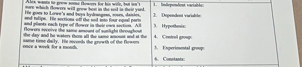 Alex wants to grow some flowers for his wife, but isn’t 1. Independent variable: 
sure which flowers will grow best in the soil in their yard. 
He goes to Lowe's and buys hydrangeas, roses, daisies, 2、 Dependent variable: 
and tulips. He sections off the soil into four equal parts 
and plants each type of flower in their own section. All 3. Hypothesis: 
flowers receive the same amount of sunlight throughout 
the day and he waters them all the same amount and at the 4. Control group: 
same time daily. He records the growth of the flowers 
once a week for a month. 5. Experimental group: 
6. Constants: