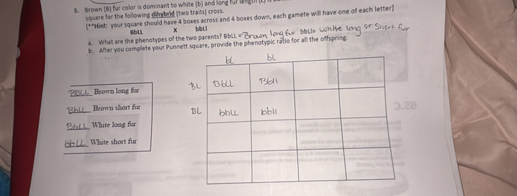 Brown (B) fur color is dominant to white (b) and long fur langt (L) i 
square for the following dihybrid (two traits) cross. [**Hint: your square should have 4 boxes across and 4 boxes down, each gamete will have one of each letter]
BbLL x bbLl
a. What are the phenotypes of the two parents? BbLL =
b. After you complete your Punnett square, provide the phenotypic ratio for all the offspring.
Brown long fur
Brown short fur
White long fur
White short fur