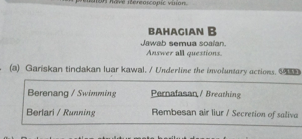 aators have stereoscopic vision. 
BAHAGIAN B 
Jawab semua soalan. 
Answer all questions. 
(a) Gariskan tindakan luar kawal. / Underline the involuntary actions. Sn 
Berenang / Swimming Pernafasan / Breathing 
Berlari / Running Rembesan air liur / Secretion of saliva