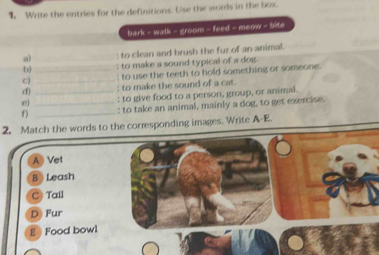 Write the entries for the definitions. Use the words in the box.
bark - walk - groom - feed - meow - bite
a)_
; to clean and brush the fur of an animal.
b)_
: to make a sound typical of a dog.
c)_
: to use the teeth to hold something or someone.
d)_
: to make the sound of a cat.
6)_
: to give food to a person, group, or animal.
f)_
: to take an animal, mainly a dog, to get exercise.
2. Match the words to the corresponding images. Write A-E.
A Vet
B Leash
C Tail
D Fur
E Food bowl