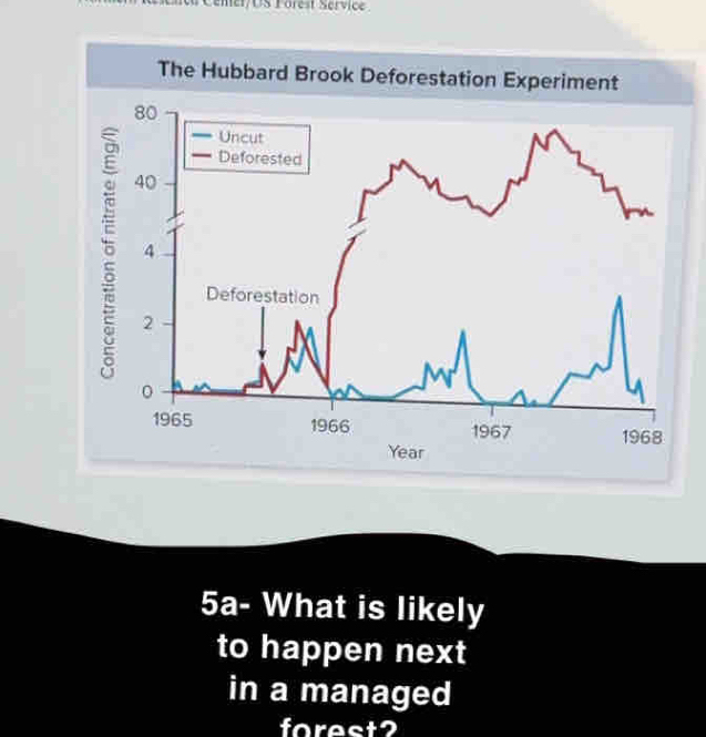 Cemer/US Forest Service 
5a- What is likely 
to happen next 
in a managed 
forest?