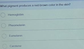 What pigment produces a red-brown color in the skin?
Hemoglobin
Pheomelanin
Eumelanin
Carotene