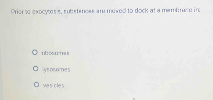 Prior to exocytosis, substances are moved to dock at a membrane in:
ribosomes
lysosomes
vesicles