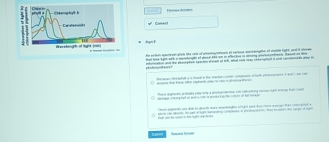 Peslsus Arées 
Correct 
Part F 
An eviion specton plots the rate of phesasysthosis at various wavelengths of visible light, and it shown 
hat lave lighe with a wreetencta of shout d8d oe is oftec tive in driving phatos ye hess. Sased on this 
eh etoun hes s infernation and the absorption spectia showe at lets, what rete nay chtarophyil i and caretenoids play i 
Bacause caorophyll a is faund in the reaction cester coreteses of both photorgn ters it and I, we can 
asteme lal these other ploments play no rale in photosynthos. 
These pigments prebably play only a pholoprotective roto (strorbig excos light energy that could 
deasage chinnptyltat and a role ia produring the colors of he fenur 
Tina gigments ara able to absob more woseleegts of fight (and thas more energy) than chlemptye a 
that cas be used in the lighd reactions. alene can absorb. Au part of light Narvesking canspleses i pnotorysheres, they brooen the range of ligh 
Subm