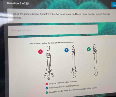 Solved: ! ook at the picture below. Apart from the shin bone, ankle and ...