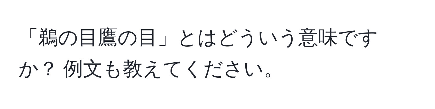 「鵜の目鷹の目」とはどういう意味ですか？ 例文も教えてください。