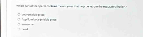 Which part of the sperm contains the enzymes that help penetrate the egg at fertilization?
body (middle piece)
flagellum body (middle piece)
acrosome
head