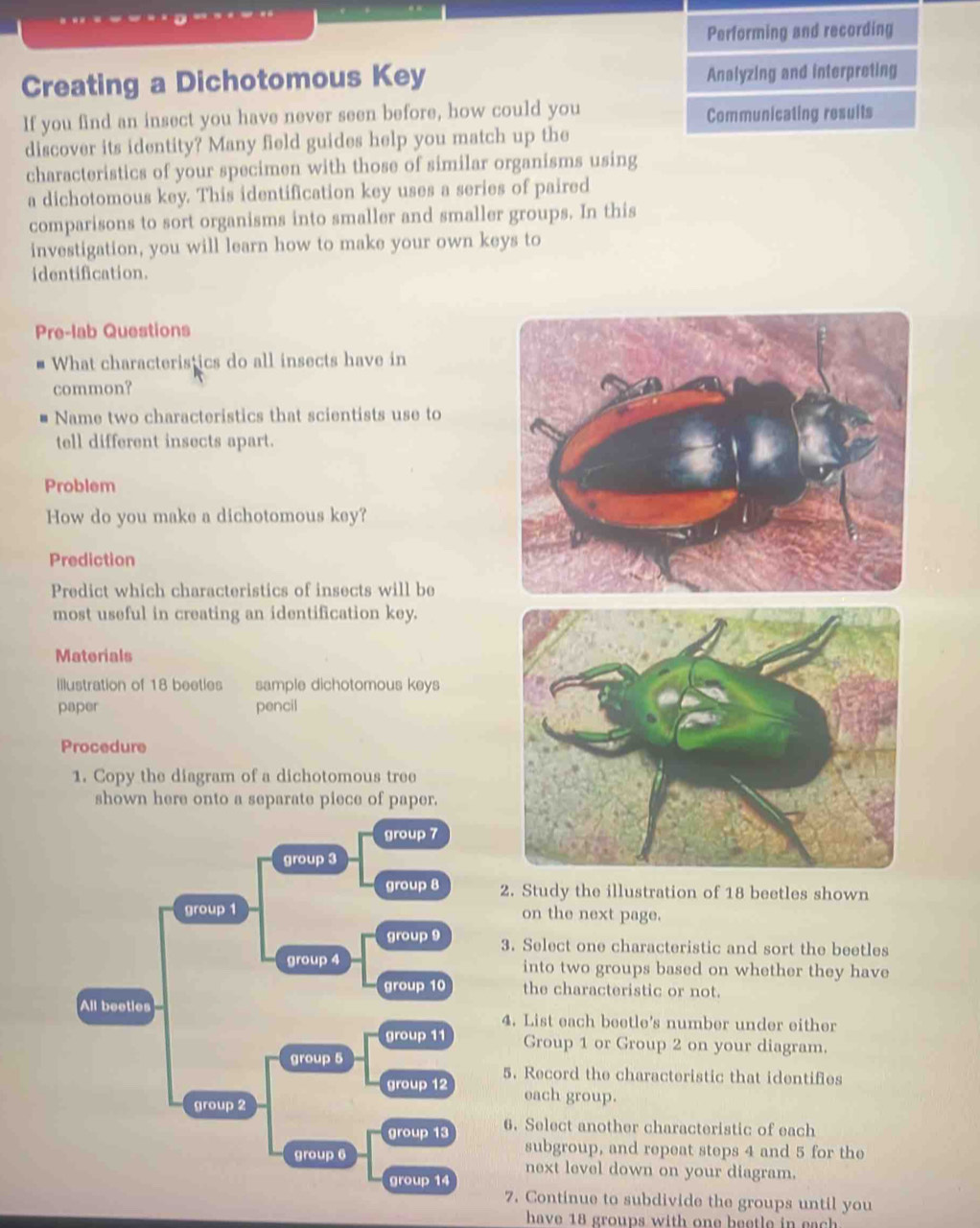 Solved: Performing and recording Creating a Dichotomous Key Analyzing ...
