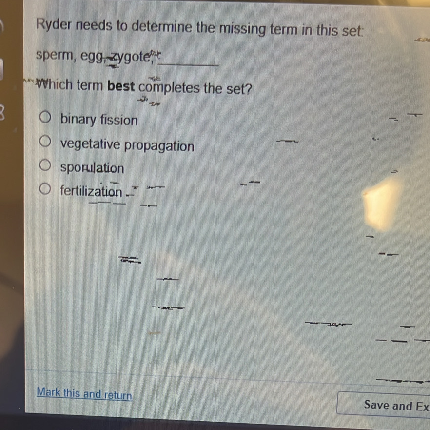 Ryder needs to determine the missing term in this set:
sperm, egg, zygote,_
Which term best completes the set?
binary fission
vegetative propagation
sporulation

fertilization .
_
Mark this and return Save and Ex