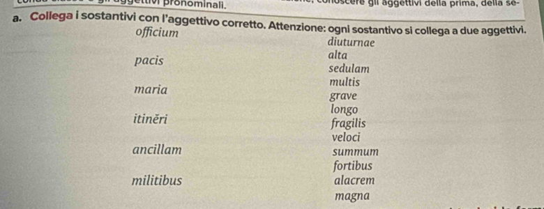 tv pronominali. e il a ggettivi della prima, della s e
a. Collega i sostantivi con l’aggettivo corretto. Attenzione: ogni sostantivo si collega a due aggettivi.
officium diuturnae
alta
pacis sedulam
multis
maria
grave
longo
itiněri fragilis
veloci
ancillam summum
fortibus
militibus alacrem
magna