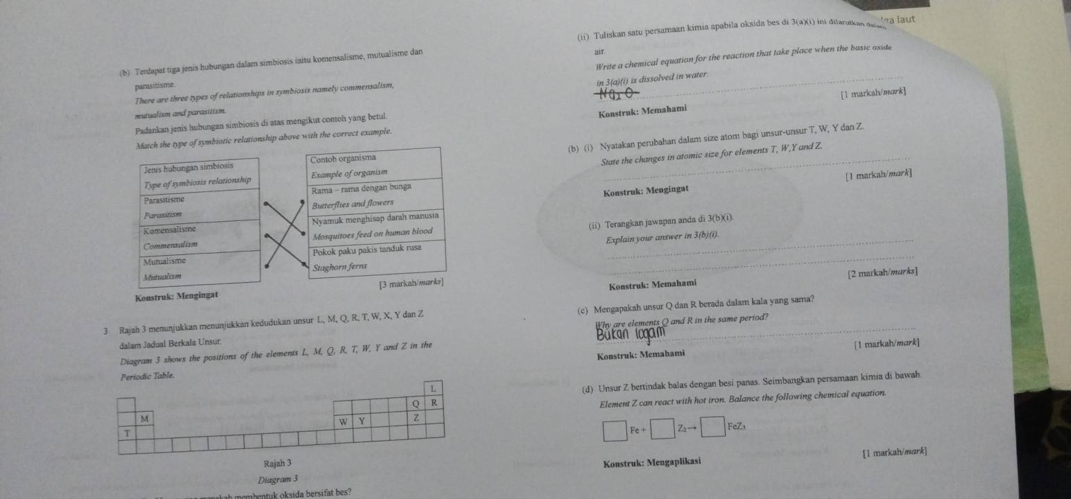 (ii) Tuliskan satu persamaan kimia apabila oksida bes di 3(a)(i) ini dilaruikan daw ' a laut
(b) Terdapat tiga jenis hubungan dalam simbiosis iaitu komensalisme, mutualisme dan air
There are three types of relationships in symbiosis namely commensalism, Write a chemical equation for the reaction that take place when the basic oxide
parasitisme
in 3(a)(i) is dissolved in water
Padankan jenis hubungan simbiosis di atas mengikut contoh yang betul [1 markah/mark]
mutualism and parasitism.
Konstruk: Memahami
(b) (i) Nyatakan perubahan dalam size atom bagi unsur-unsur T, W, Y dan Z.
Match the type of symbiotic relationship above with the correct example.
Jenis hubungán simbiosis Contoh organisma
State the changes in atomic size for elements T, W,Y and Z.
Type of symbiosis relationship Example of organism
_
[1 markah/mark]
Parasitisme Rama - rama dengan bunga
Parasitism Butterflies and flowers Konstruk: Mengingat
(ii) Terangkan jawapan anda di 3(b)(i)
Komensalisme Nyamuk menghisap darah manusia
Commensalism Mosquitoes feed on human blood
Mutualisme Pokok paku pakis tanduk rusa Explain your answer in 3(b)(i).
Mutualism Staghorn ferns
Konstruk: Mengingat [3 markah/marks]
Konstruk: Memahami [2 markah/marks]
3 Rajah 3 menunjukkan menunjukkan kedudukan unsur L, M, Q, R, T, W, X, Y dan Z (c) Mengapakah unsur Q dan R berada dalam kala yang sama?
dalam Jadual Berkala Unsur Why are elements Q and R in the same period?
Bukan
Diagram 3 shows the positions of the elements L, M, Q, R, T, W, Y and Z in the
[1 markah/mɑrk]
Periodic Table.  Konstruk: Memahami
L
(d) Unsur Z bertindak balas dengan besi panas. Seimbangkan persamaan kimia di bawah
Q R
Element Z can react with hot iron. Balance the following chemical equation.
M
w Z
T
□ Fe+□ Z_2to □ FeZ_3
Rajah 3
Diagram 3 Konstruk: Mengaplikasi [I markah/mark]