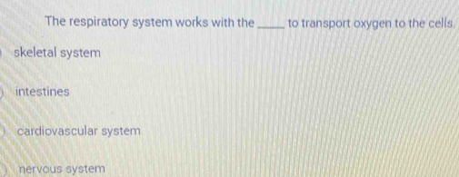 The respiratory system works with the _to transport oxygen to the cells.
skeletal system
intestines
cardiovascular system
nervous system