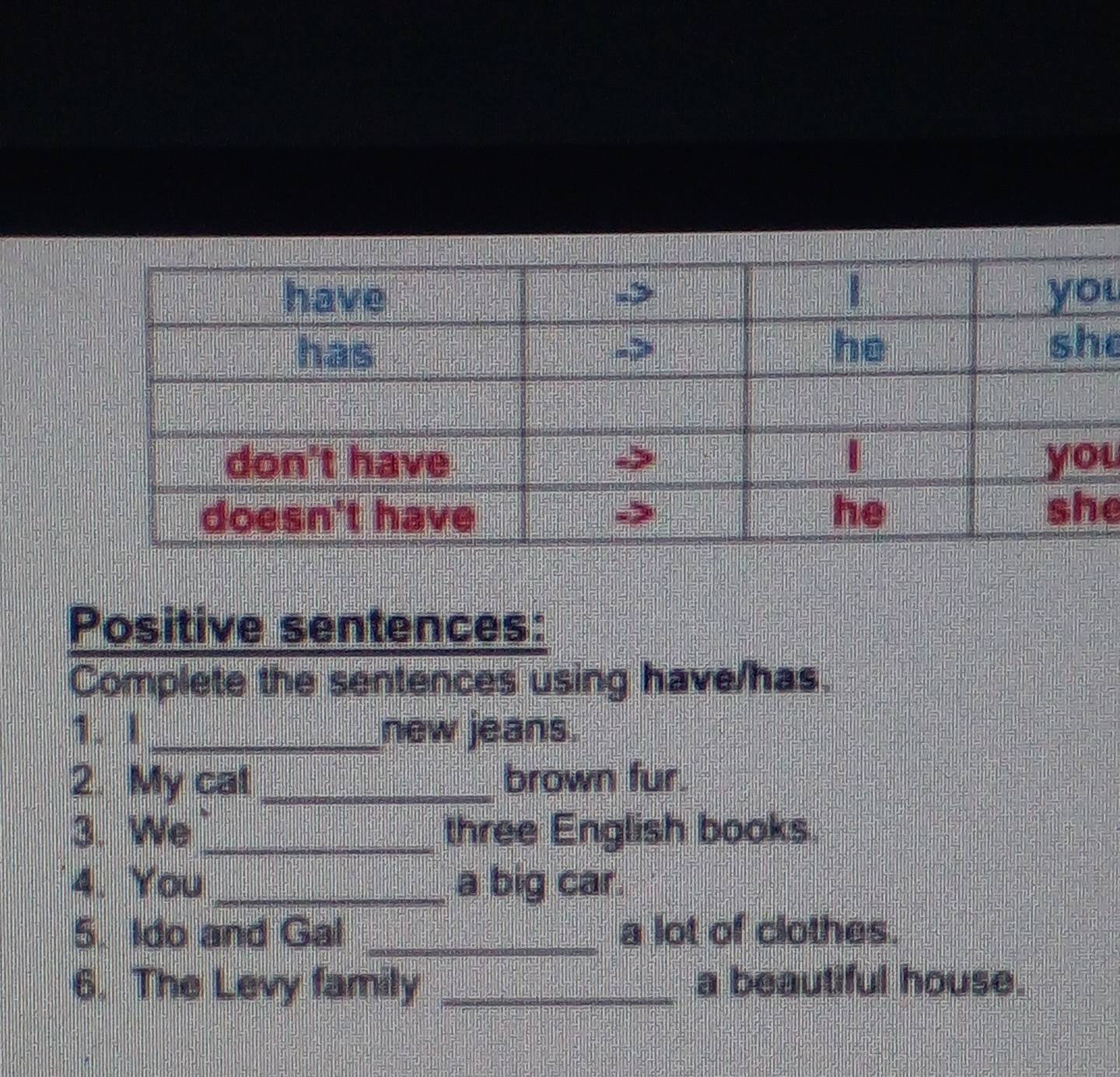 Positive sentences: 
Complete the sentences using have/has. 
1. l_ new jeans. 
2. My cat_ brown fur. 
3. We_ three English books. 
4. You _a big car. 
5. Ido and Gal _a lot of clothes. 
6. The Levy family _a beautiful house.