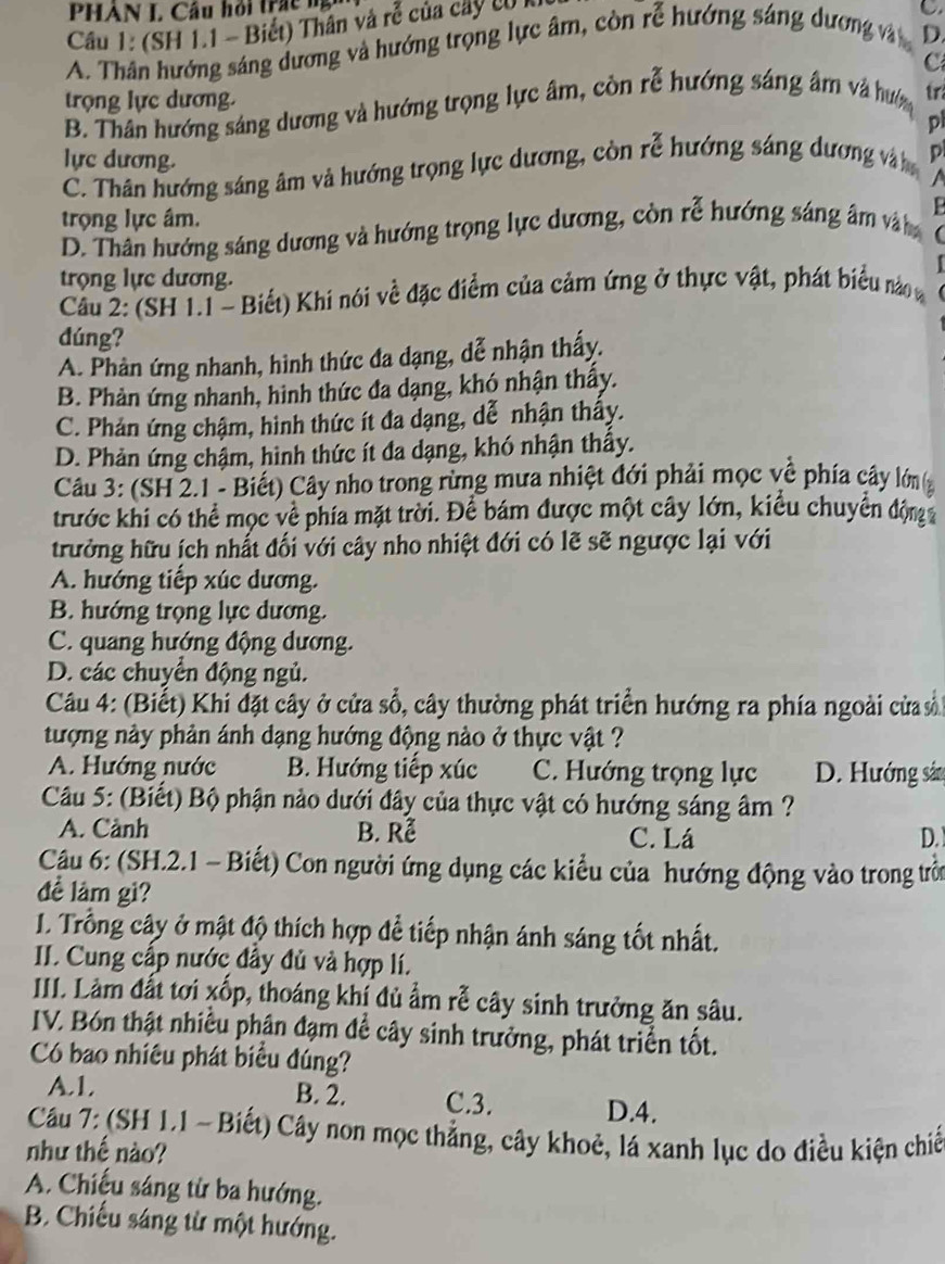 PHAN I. Câu hỏi trác ng
Cầu 1: (SH 1.1 - Biết) Thân và re^(frac 2)e của cây có k
A. Thân hướng sáng dương và hướng trọng lực âm, còn rễ hướng sáng dương và D. C
C
trọng lực dương.
B. Thân hướng sáng dương và hướng trọng lực âm, còn rễ hướng sáng âm và hư tr
pl
lực dương.
C. Thân hướng sáng âm và hướng trọng lực dương, còn rễ hướng sáng dương và p
trọng lực âm.
D. Thân hướng sáng dương và hướng trọng lực dương, còn rễ hướng sáng âm và h
trọng lực dương.
Câu 2: (SH 1.1 - Biết) Khi nói về đặc điểm của cảm ứng ở thực vật, phát biểu nào 
dúng?
A. Phản ứng nhanh, hình thức đa dạng, dễ nhận thấy.
B. Phản ứng nhanh, hình thức đa dạng, khó nhận thấy.
C. Phản ứng chậm, hình thức ít đa dạng, dễ nhận thấy.
D. Phản ứng chậm, hình thức ít đa dạng, khó nhận thầy.
Câu 3: (SH 2.1 - Biết) Cây nho trong rừng mưa nhiệt đới phải mọc về phía cây lớn g
trước khi có thể mọc về phía mặt trời. Để bám được một cây lớn, kiểu chuyển động
trưởng hữu ích nhất đối với cây nho nhiệt đới có lẽ sẽ ngược lại với
A. hướng tiếp xúc dương.
B. hướng trọng lực dương.
C. quang hướng động dương.
D. các chuyển động ngủ.
Câu 4: (Biết) Khi đặt cây ở cửa số, cây thường phát triển hướng ra phía ngoài của số 
tượng này phản ánh dạng hướng động nào ở thực vật ?
A. Hướng nước B. Hướng tiếp xúc C. Hướng trọng lực D. Hướng sản
Câu 5: (Biết) Bộ phận nào dưới đây của thực vật có hướng sáng âm ?
A. Cành B. Rễ C. Lá D. 
Câu 6: (SH.2.1 - Biết) Con người ứng dụng các kiểu của hướng động vào trong trên
đề làm gì?
I. Trổng cây ở mật độ thích hợp để tiếp nhận ánh sáng tốt nhất.
II. Cung cấp nước đầy đủ và hợp lí.
II. Làm đất tơi xốp, thoáng khí đủ ẩm rễ cây sinh trưởng ăn sâu.
IV. Bón thật nhiều phân đạm để cây sinh trưởng, phát triển tốt.
Có bao nhiêu phát biểu đúng?
B. 2.
A.1. C.3. D.4.
Câu 7: (SH L1 ~ Biết) Cây non mọc thẳng, cây khoẻ, lá xanh lục do điều kiện chiế
như thế nào?
A. Chiếu sáng từ ba hướng.
B. Chiếu sáng từ một hướng.