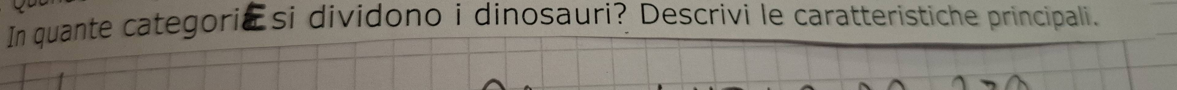 In quante categoria si dividono i dinosauri? Descrivi le caratteristiche principali.