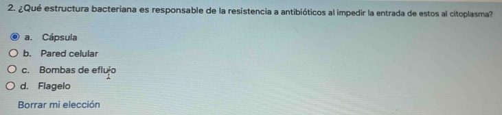 ¿Qué estructura bacteriana es responsable de la resistencia a antibióticos al impedir la entrada de estos al citoplasma?
a. Cápsula
b. Pared celular
c. Bombas de efluło
d. Flagelo
Borrar mi elección