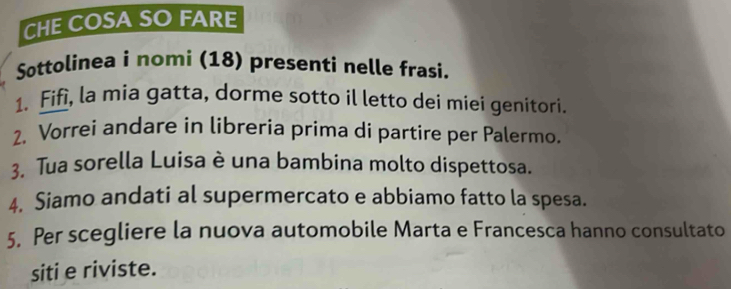 CHE COSA SO FARE 
Sottolinea i nomi (18) presenti nelle frasi. 
1. Fifì, la mia gatta, dorme sotto il letto dei miei genitori. 
2. Vorrei andare in libreria prima di partire per Palermo. 
3. Tua sorella Luisa è una bambina molto dispettosa. 
4. Siamo andati al supermercato e abbiamo fatto la spesa. 
5. Per scegliere la nuova automobile Marta e Francesca hanno consultato 
siti e riviste.