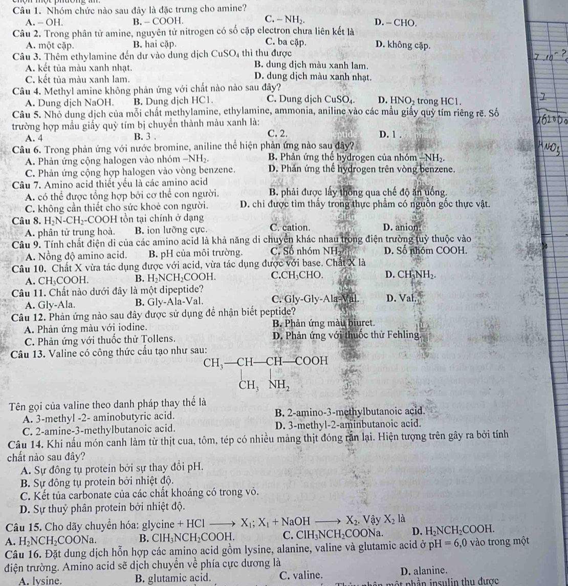 Nhóm chức nào sau đây là đặc trưng cho amine?
C. -
A. - OH. B. - COOH. NH_2. D. — CHO.
Câu 2. Trong phân tử amine, nguyên tử nitrogen có số cặp electron chưa liên kết là
C. ba cặp.
A. một cặp. B. hai cặp. D. không cặp.
Câu 3. Thêm ethylamine đến dư vào dung dịch CuSO4 thì thu được
A. kết tủa màu xanh nhạt.
B. dung dịch màu xanh lam.
C. kết tủa màu xanh lam.
D. dung dịch màu xanh nhạt.
Câu 4. Methyl amine không phản ứng với chất nào nào sau đây?
A. Dung dịch NaOH. B. Dung djch HC1. C. Dung dịch CuSO₄ D. HNO₂ trong HC1.
Câu 5. Nhỏ dung dịch của mỗi chất methylamine, ethylamine, ammonia, aniline vào các mẫu giấy quỷ tím riêng rẽ. Số
trường hợp mẫu giấy quỳ tím bị chuyền thành màu xanh là:
A. 4 B. 3 . C. 2. D. 1 .
Câu 6. Trong phản ứng với nước bromine, aniline thể hiện phản ứng nào sau đây?
A. Phản ứng cộng halogen vào nhóm -NH_2. B. Phản ứng thế hydrogen của nhóm -NH_2.
C. Phản ứng cộng hợp halogen vào vòng benzene. D. Phản ứng thể hydrogen trên vòng benzene.
Câu 7. Amino acid thiết yếu là các amino acid
A. có thể được tổng hợp bởi cơ thể con người. B. phải được lấy thông qua chế độ ăn uống.
C. không cần thiết cho sức khoẻ con người. D. chỉ được tìm thấy trong thực phẩm có nguồn gốc thực vật.
Câu 8. H_2N-CH_2 -C( OOH H tồn tại chính ở dạng D. anion:
A. phân tử trung hoà. B. ion lưỡng cực. C. cation.
Câu 9. Tính chất điện di của các amino acid là khả năng di chuyển khác nhau trong điện trường tuỳ thuộc vào
A. Nồng độ amino acid. B. pH của môi trường. C. Số nhóm NH D. Số nhóm COOH.
Câu 10. Chất X vừa tác dụng được với acid, vừa tác dụng được với base. Chất X là
A. CH_3COOH. B. H_2NCH_2COOH. C.CH_3 CHO.
D. CH_3NH_2.
Câu 11. Chất nào dưới đây là một dipeptide?
A. Gly-Ala. B. Gly-Ala-Val. C. Gly-Gly-Ala Val. D. Val
Câu 12. Phản ứng nào sau đây được sử dụng đề nhận biết peptide?
A. Phản ứng màu với iodine. B. Phản ứng màu biuret.
C. Phản ứng với thuốc thử Tollens. D. Phản ứng với thuốc thử Fehling.
Câu 13. Valine có công thức cấu tạo như sau:
CH_3-CH-CH-COO
CH_3NH_2
Tên gọi của valine theo danh pháp thay thế là
A. 3-methyl -2- aminobutyric acid. B. 2-amino-3-methylbutanoic acid.
C. 2-amine-3-methylbutanoic acid. D. 3-methyl-2-aminbutanoic acid.
Câu 14. Khi nấu món canh làm từ thịt cua, tôm, tép có nhiều mảng thịt đóng rắn lại. Hiện tượng trên gây ra bởi tính
chất nào sau đây?
A. Sự đồng tụ protein bởi sự thay đổi pH.
B. Sự đông tụ protein bởi nhiệt độ.
C. Kết tủa carbonate của các chất khoáng có trong vỏ.
D. Sự thuỷ phân protein bởi nhiệt độ.
Câu 15. Cho dãy chuyển hóa: gly vcine+HClto X_1;X_1+NaOHto X_2. Vậy X_2 là
A. H_2NCH_2COONa. B. ClH_3NCH_2COOH. C. ClH_3NCH_2COONa. D. H_2NCH_2COOH.
Câu 16. Đặt dung dịch hỗn hợp các amino acid gồm lysine, alanine, valine và glutamic acid ở pH=6,0 vào trong một
điện trường. Amino acid sẽ dịch chuyển về phía cực dương là
A. lysine. B. glutamic acid. C. valine. D. alanine.
n   t  p hần insulin thu được