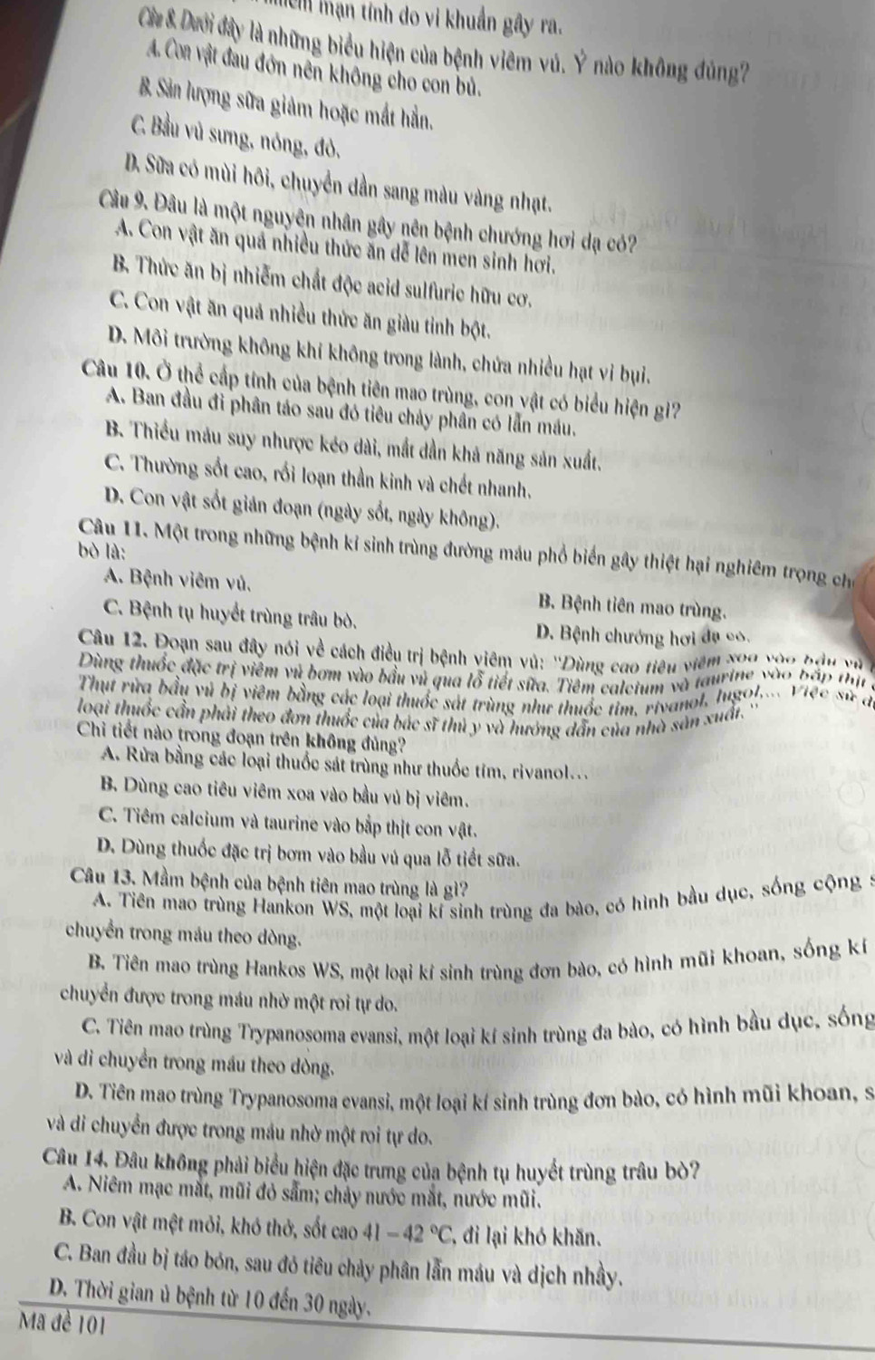 0 ạn tính do vi khuẩn gây ra.
Cáa 8 Dưới đây là những biểu hiện của bệnh viêm vú. Ý nào không đủng7
A. Con vật đau đớn nền không cho con bủ.
B Sản lượng sữa giảm hoặc mắt hẳn.
C. Bầu vủ sưng, nóng, đỏ.
D. Sữa có mùi hôi, chuyển dần sang màu vàng nhạt.
Câu 9. Đâu là một nguyên nhân gây nên bệnh chướng hơi dạ có?
A. Con vật ăn quá nhiều thức ăn dễ lên men sinh hơi.
B. Thức ăn bị nhiễm chất độc acid sulfuric hữu cơ.
C. Con vật ăn quả nhiều thức ăn giàu tỉnh bột.
D. Môi trường không khi không trong lành, chứa nhiều hạt vi bụi.
Câu 10. Ở thể cấp tính của bệnh tiên mao trùng, con vật có biểu hiện gi
A. Ban đầu đi phân táo sau đó tiêu chảy phân có lẫn máu.
B. Thiểu máu suy nhược kéo dài, mắt dần khả năng sản xuất.
C. Thường sốt cao, rối loạn thần kinh và chết nhanh,
D. Con vật sốt gián đoạn (ngày sốt, ngày không).
bò là:
Câu 11. Một trong những bệnh kỉ sinh trùng đường máu phổ biển gây thiệt hại nghiêm trọng chỉ
A. Bệnh viêm vú.  B. Bệnh tiên mao trùng.
C. Bệnh tụ huyết trùng trâu bò.
D. Bệnh chướng hơi đạ có.
Câu 12. Đoạn sau đây nói về cách điều trị bệnh viêm vú: ''Dùng cao tiêu viêm x00 vào bậu yú 
Dùng thuốc đặc trị viêm vũ bơm vào bầu vũ qua lỗ tiết sữa. Tiêm calcium và taurine vào bắp thị
Thụt rừa bầu vũ bị viêm bằng các loại thuốc sát trùng như thuốc tim, rivanol, lugol.... Việc sử đ
loại thuốc cần phải theo đơn thuốc của bác sĩ thủ y và hướng dẫn của nhà sản xuất.''
Chi tiết nào trong đoạn trên không đủng?
A. Rừa bằng các loại thuốc sát trùng như thuốc tim, rivanol...
B. Dùng cao tiêu viêm xoa vào bầu vủ bị viêm.
C. Tiêm calcium và taurine vào bắp thịt con vật.
D. Dùng thuốc đặc trị bơm vào bầu vú qua lỗ tiết sữa.
Câu 13. Mầm bệnh của bệnh tiên mao trùng là gì?
A. Tiên mao trùng Hankon WS, một loại kí sinh trùng đa bào, có hình bầu dục, sống cộng
chuyền trong máu theo dòng.
B. Tiên mao trùng Hankos WS, một loại kí sinh trùng đơn bào, có hình mũi khoan, sống kí
chuyển được trong máu nhờ một roi tự do.
C. Tiên mao trùng Trypanosoma evansi, một loại kí sinh trùng đa bào, có hình bầu dục, sống
và di chuyển trong máu theo dòng.
D. Tiên mao trùng Trypanosoma evansi, một loại kí sinh trùng đơn bào, có hình mũi khoan, s
và di chuyển được trong máu nhờ một roi tự do.
Câu 14. Đâu không phải biểu hiện đặc trưng của bệnh tụ huyết trùng trâu bò?
A. Niêm mạc mắt, mũi đỏ sắm; chảy nước mắt, nước mũi.
B. Con vật mệt mỏi, khó thở, sốt cao 41-42°C C, đi lại khó khăn.
C. Ban đầu bị táo bón, sau đó tiêu chảy phân lẫn máu và dịch nhầy.
D. Thời gian ủ bệnh từ 10 đến 30 ngày.
Mã đề 101