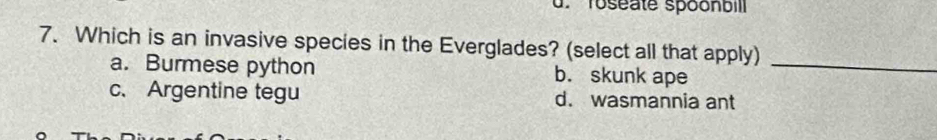 Toseate spoonbil
7. Which is an invasive species in the Everglades? (select all that apply)
a. Burmese python b. skunk ape_
c. Argentine tegu d. wasmannia ant