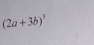 (2a+3b)^5