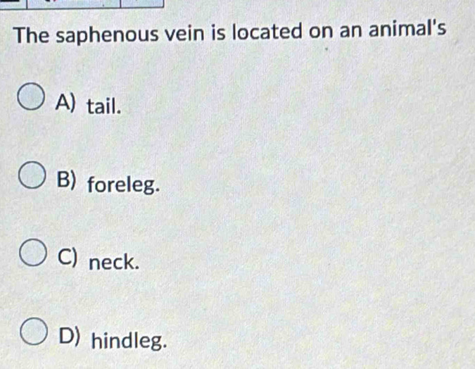 The saphenous vein is located on an animal's
A) tail.
B) foreleg.
C) neck.
D) hindleg.