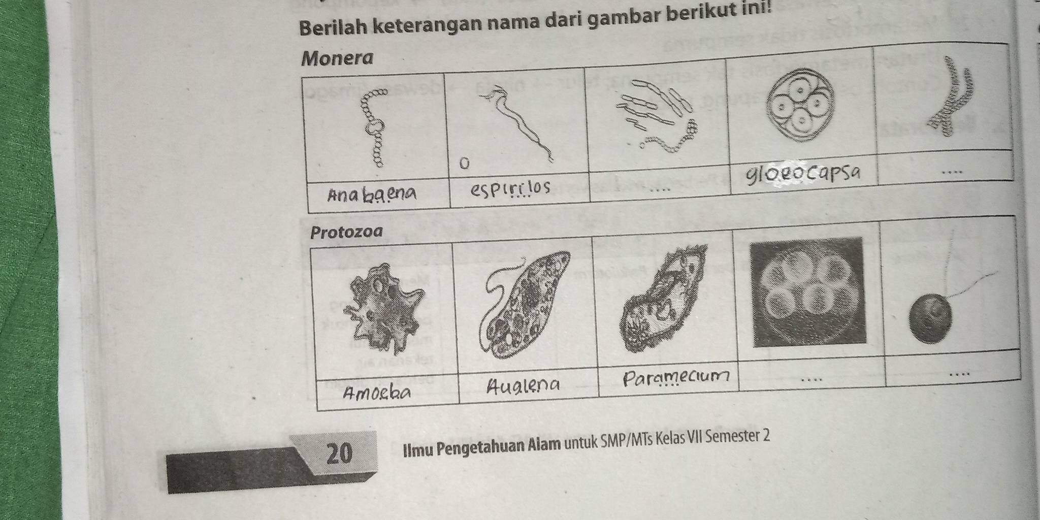 Berilah keterangan nama dari gambar berikut ini! 
20 Ilmu Pengetahuan Alam untuk SMP/MTs Kelas VII Semester 2