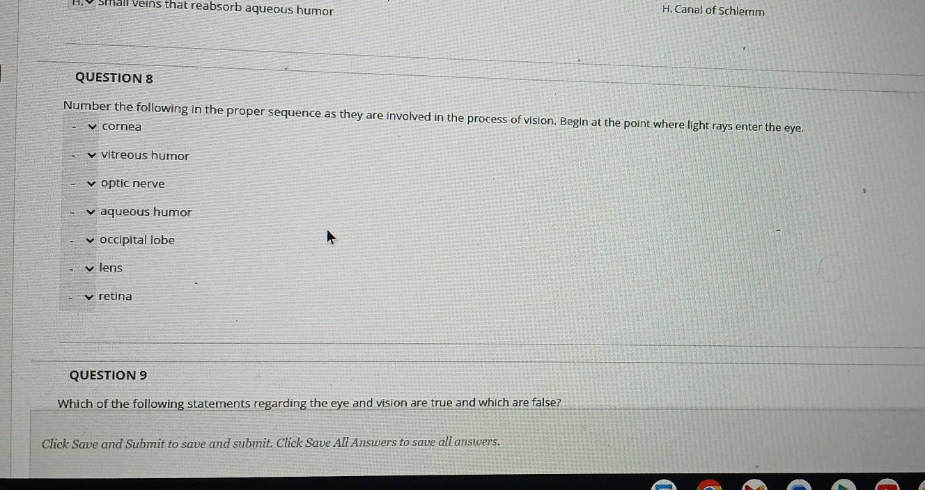 small veins that reabsorb aqueous humor H. Canal of Schlemm
QUESTION 8
Number the following in the proper sequence as they are involved in the process of vision. Begin at the point where light rays enter the eye.
cornea
vitreous humor
optic nerve
aqueous humor
occipital lobe
lens
retina
QUESTION 9
Which of the following statements regarding the eye and vision are true and which are false?
Click Save and Submit to save and submit. Click Save All Answers to save all answers.