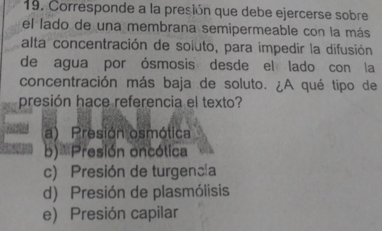 Corresponde a la presión que debe ejercerse sobre
el lado de una membrana semipermeable con la más
alta concentración de soluto, para impedir la difusión
de agua por ósmosis desde el lado con la
concentración más baja de soluto. ¿A qué tipo de
presión hace referencia el texto?
a) Presión osmótica
b)= Presión oncótica
c) Presión de turgencia
d) Presión de plasmólisis
e) Presión capilar