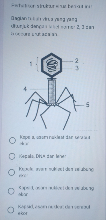 Perhatikan struktur virus berikut ini !
Bagian tubuh virus yang yang
ditunjuk dengan label nomer 2, 3 dan
5 secara urut adalah...
Kepala, asam nukleat dan serabut
ekor
Kepala, DNA dan leher
Kepala, asam nukleat dan selubung
ekor
Kapsid, asam nukleat dan selubung
ekor
Kapsid, asam nukleat dan serabut
ekor