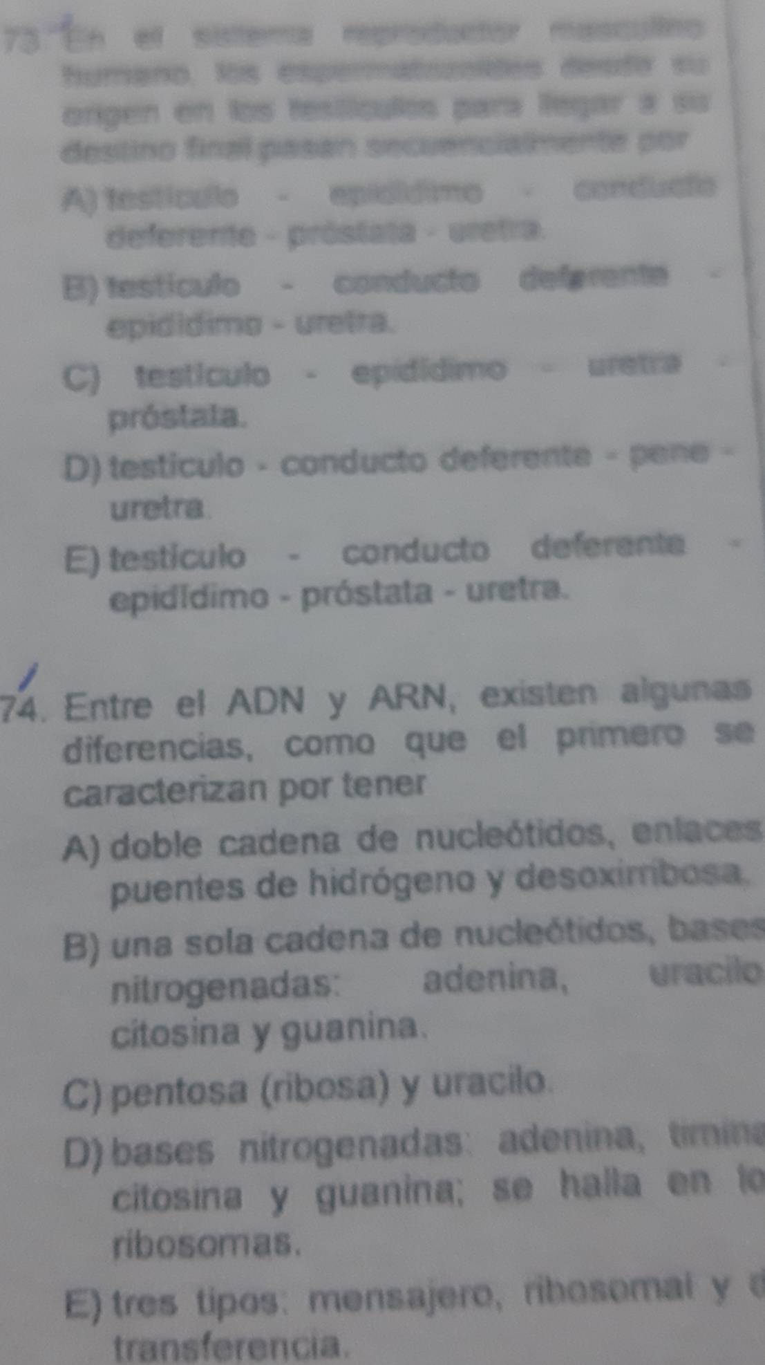 el sistema reproductor masculino
humano, los espermatozoidés desdo su
origen en los testículós para legar a su
destino final pasan secuencialmente por
A) testículo - epicídimo - conducto
deferente - próstata - aretra.
B) testículo - conducto deferente
epidídimo - uretra.
C) testículo - epídídimo - uretra
próstata.
D) testiculo - conducto deferente - pene -
uretra
E) testículo - conducto deferente
epidídimo - próstata - uretra.
74. Entre el ADN y ARN, existen algunas
diferencias, como que el primero se
caracterizan por tener
A) doble cadena de nucleótidos, enlaces
puentes de hidrógeno y desoxiríbosa.
B) una sola cadena de nucleótidos, bases
nitrogenadas: adenina, uracilo
citosina y guanina.
C) pentosa (ribosa) y uracilo.
D) bases nitrogenadas: adenina, timina
citosina y guanina; se halla en to
ribosomas.
E) tres tipos: mensajero,ribosomal y 
transferencia.