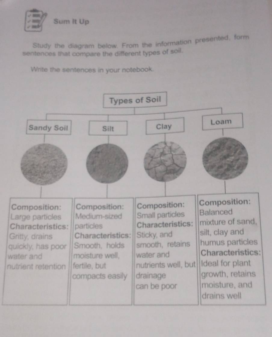 Sum It Up 
Study the diagram below. From the information presented; form 
sentences that compare the different types of soil. 
Write the sentences in your notebook. 
L 
C 
G 
q 
w: 
nu