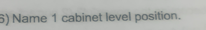 6)Name 1 cabinet level position.