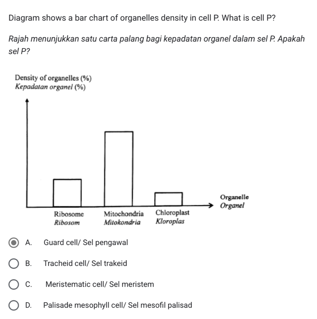 Diagram shows a bar chart of organelles density in cell P. What is cell P?
Rajah menunjukkan satu carta palang bagi kepadatan organel dalam sel P. Apakah
sel P?
Density of organelles (%)
A. Guard cell/ Sel pengawal
B. Tracheid cell/ Sel trakeid
C. Meristematic cell/ Sel meristem
D. Palisade mesophyll cell/ Sel mesofil palisad