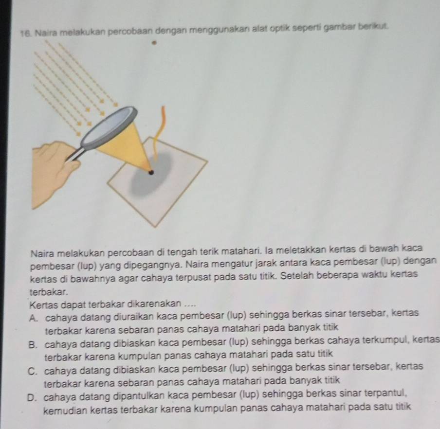 Naira melakukan percobaan dengan menggunakan alat optik seperti gambar berikut.
Naira melakukan percobaan di tengah terik matahari. la meletakkan kertas di bawah kaca
pembesar (lup) yang dipegangnya. Naira mengatur jarak antara kaca pembesar (lup) dengan
kertas di bawahnya agar cahaya terpusat pada satu titik. Setelah beberapa waktu kertas
terbakar.
Kertas dapat terbakar dikarenakan ....
A. cahaya datang diuraikan kaca pembesar (lup) sehingga berkas sinar tersebar, kertas
terbakar karena sebaran panas cahaya matahari pada banyak titik
B. cahaya datang dibiaskan kaca pembesar (lup) sehingga berkas cahaya terkumpul, kertas
terbakar karena kumpulan panas cahaya matahari pada satu titik
C. cahaya datang dibiaskan kaca pembesar (lup) sehingga berkas sinar tersebar, kertas
terbakar karena sebaran panas cahaya matahari pada banyak titik
D. cahaya datang dipantulkan kaca pembesar (lup) sehingga berkas sinar terpantul,
kemudian kertas terbakar karena kumpulan panas cahaya matahari pada satu titik