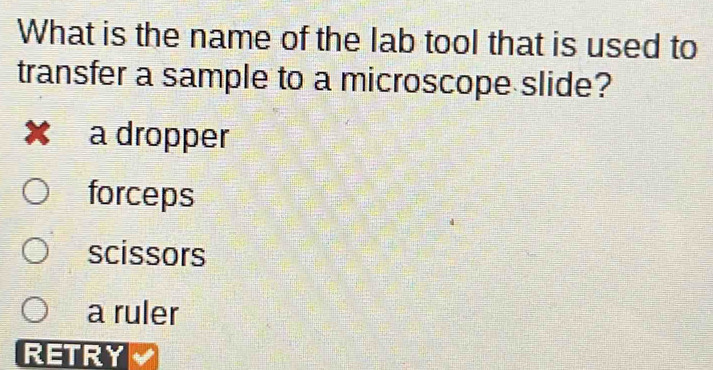 What is the name of the lab tool that is used to
transfer a sample to a microscope slide?
× a a dropper
forceps
scissors
a ruler
RETRY