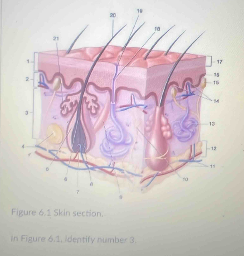 In Figure 6.1. identify number 3.